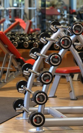 Gewichte - Fitnesspark Maschen GmbH e.b. Life Fitness